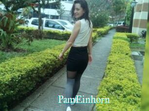 PamEinhorn