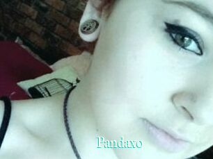 Pandaxo