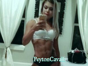 Peyton_Cavalli
