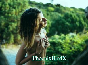 PhoenixBirdX