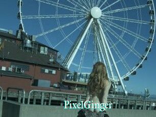 PixelGinger