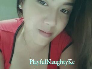 PlayfulNaughtyKc