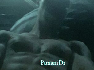PunaniDr