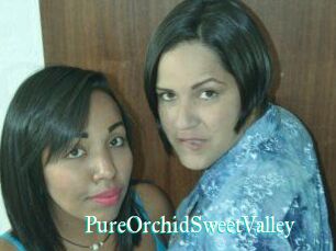 PureOrchidS_weetValley