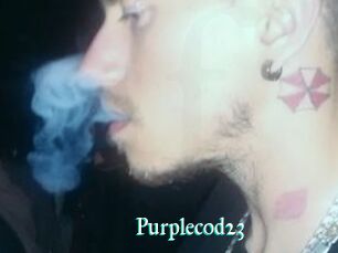 Purplecod23