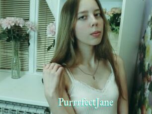 PurrrfectJane
