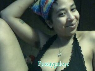 Pussaygalore