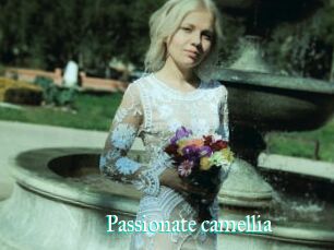 Passionate_camellia