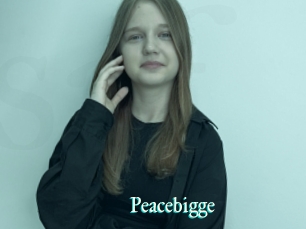 Peacebigge
