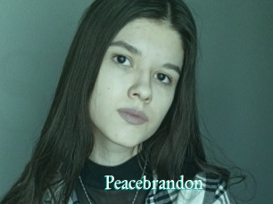 Peacebrandon