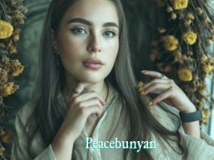 Peacebunyan