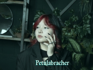 Petulabracher