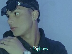 Pigboyx