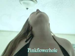 Pinkflowerhole