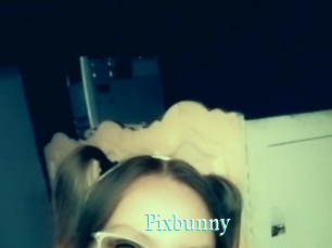 Pixbunny