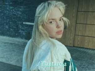 Plantarosa