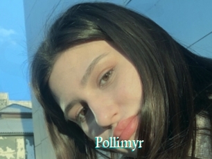 Pollimyr