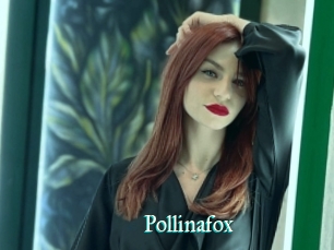 Pollinafox