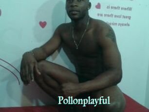 Pollonplayful