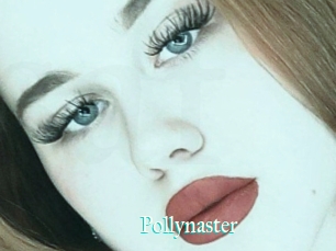 Pollynaster