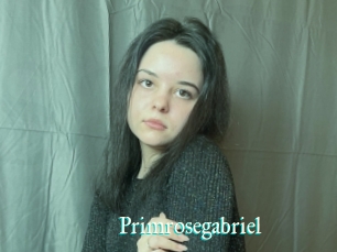 Primrosegabriel
