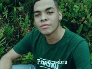 Prince_cobra