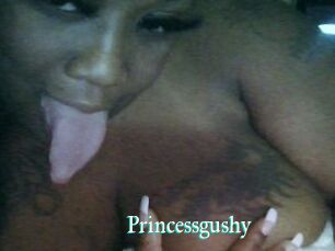 Princessgushy