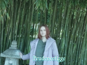 Prudencefigge