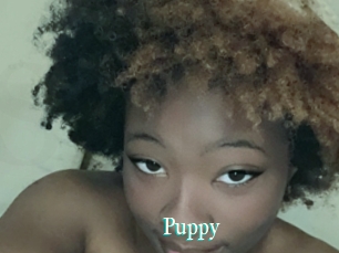 Puppy