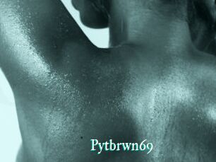 Pytbrwn69