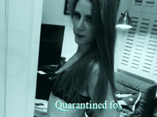 Quarantined_fox