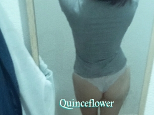 Quinceflower