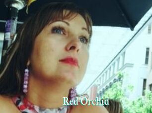 Red_Orchid