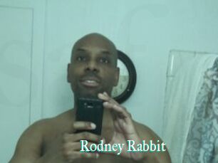 Rodney_Rabbit