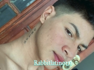 Rabbitlatino111