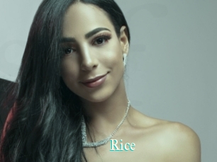 Rice