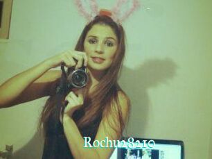 Rochu28210