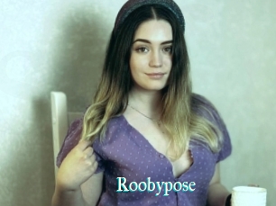 Roobypose