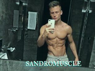 SANDRO_MUSCLE