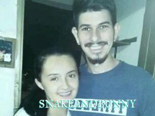 SNAKEANDBUNNY