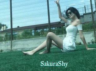SakuraShy