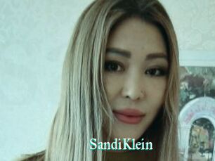 SandiKlein