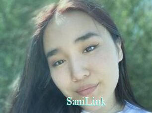 SaniLink