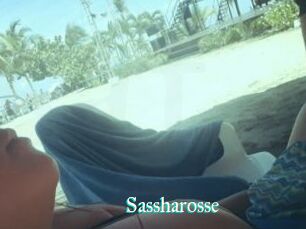 Sassharosse