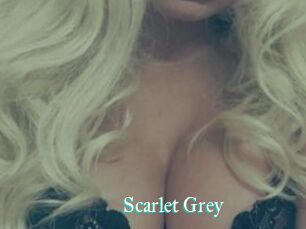 Scarlet_Grey