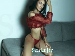 Scarlet_Jay