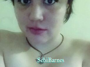 Sebi_Barnes