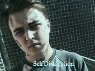 SelfDistruction