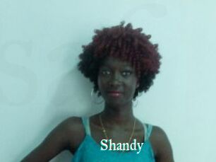 Shandy