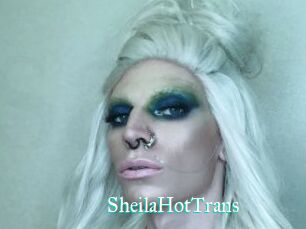 SheilaHotTrans